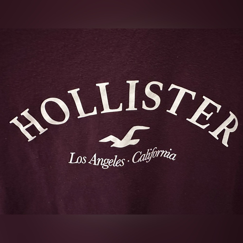 HOLLISTER. XS cropped maroon HOLLISTER top. 100% Cotton - Picture 3 of 6